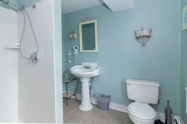 Standard Tek Büyük Yataklı Oda, Banyolu/Duşlu (Bel Canto Room (1))