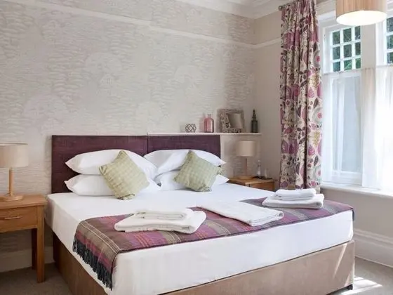 Deluxe Tek Büyük Yataklı Oda (with Shower)