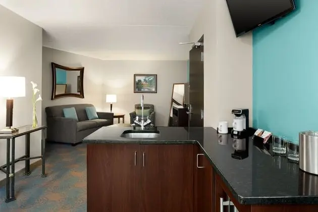 Premier Süit, Birden Çok Yatak (2 Double Beds, Sofa Sleeper)