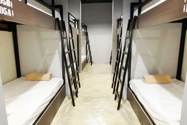 Mixed Shared Dormitory
