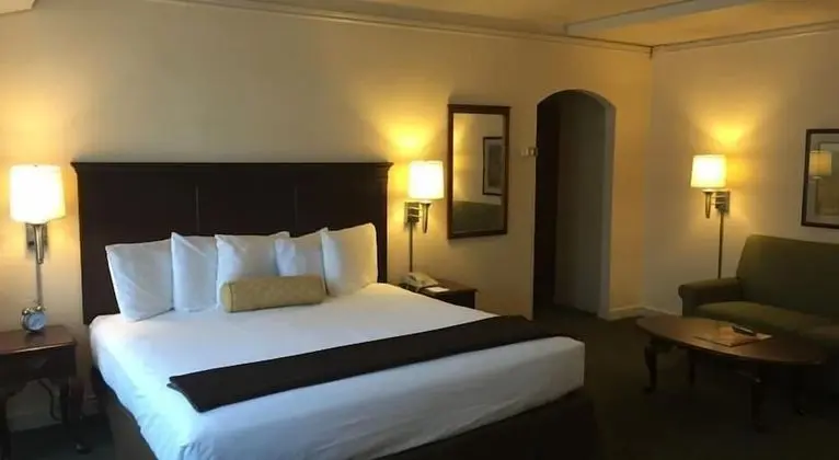 Standard Süit, 1 En Büyük (King) Boy Yatak (King Junior Suite)