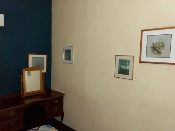 Executive Kır Evi