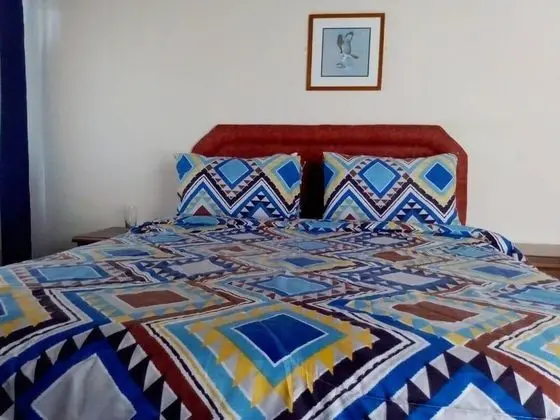 Standard Oda, 1 Çift Kişilik Yatak, Banyolu/Duşlu