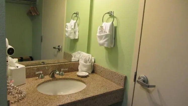 Standard Double Room, 2 Double Beds, Pet Friendly