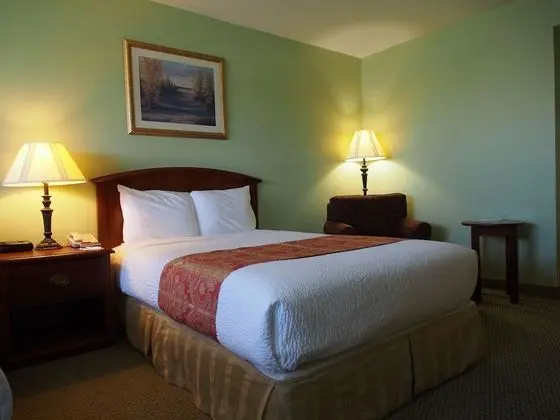 Standard Room, 1 King Bed, Pet Friendly