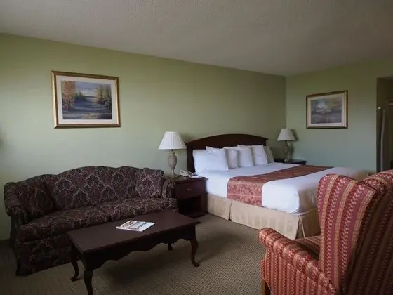 Standard Room, 1 King Bed, Pet Friendly