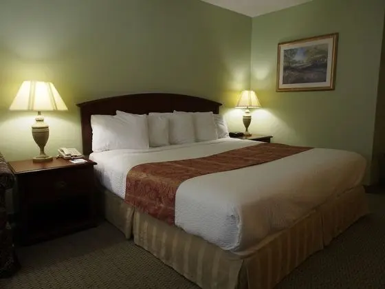 Standard Room, 1 King Bed, Pet Friendly