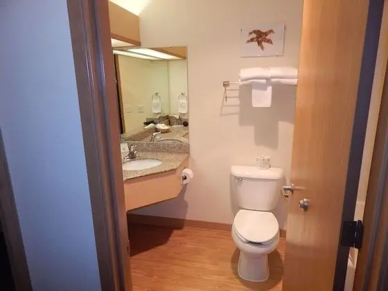 Standard Oda, 1 En Büyük (King) Boy Yatak, Şömine, Şehir Manzaralı
