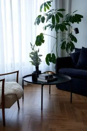 Cozy Studio, City View (4 pax)