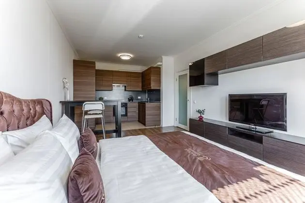 Apart Daire, 1 Yatak Odası