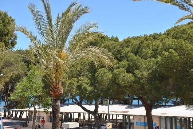 Stüdyo, 1 En Büyük (King) Boy Yatak, Teras, Resort Manzaralı