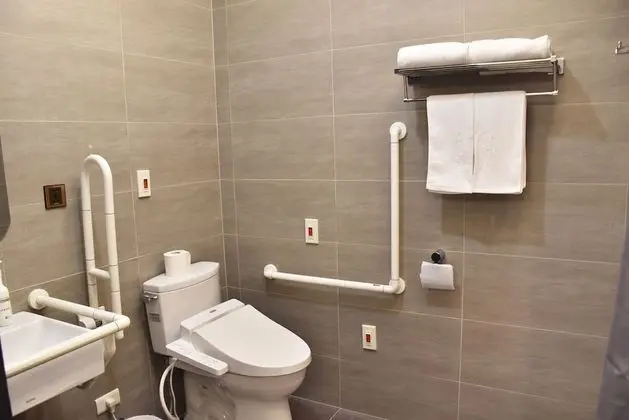 Standard Tek Büyük Yataklı Oda, 1 Büyük (Queen) Boy Yatak, Şehir Manzaralı