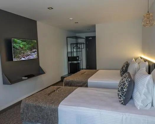 Teraslı Standart Oda, Dağ Manzaralı, Teraslı