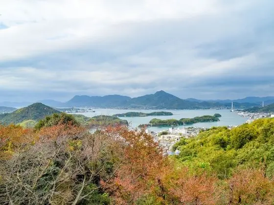 Traditional Oda (Japanese-style,  6  )