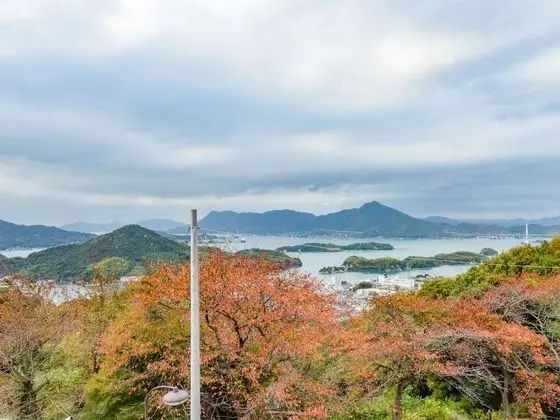 Traditional Oda (Japanese-style,  6  )