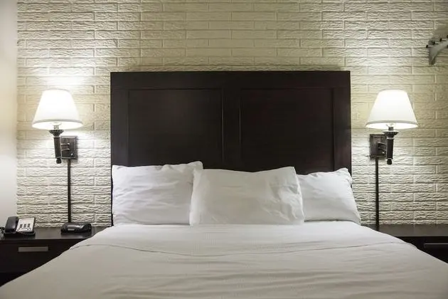 Deluxe Tek Büyük Yataklı Oda, 2 Çift Kişilik Yatak, Sigara İçilebilir