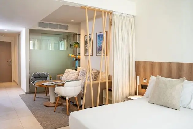 Junior Çatı Katı (Loft) (Suite  2+1)