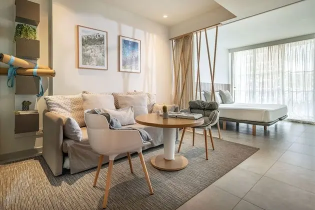 Junior Çatı Katı (Loft) (Suite  2+1)