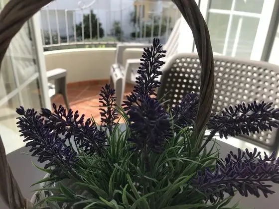 Deluxe Tek Büyük Yataklı Oda, Balkon