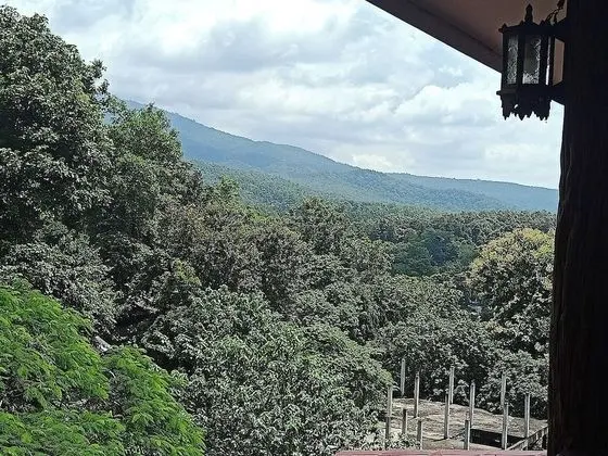 Odadan manzara