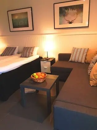 Deluxe Tek Büyük veya İki Ayrı Yataklı Oda