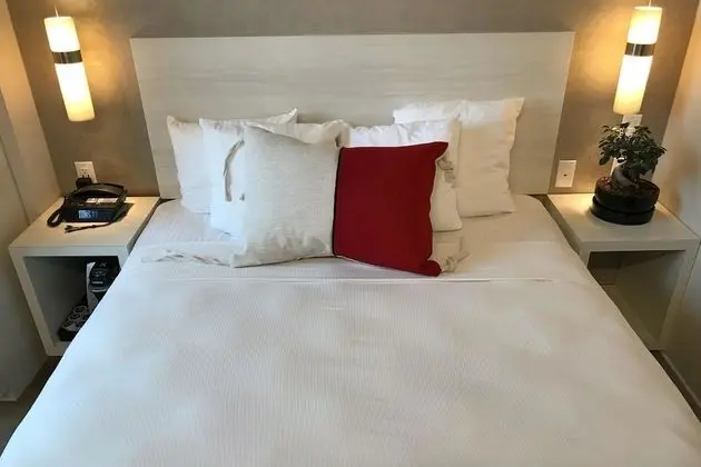 Standard Oda, 1 En Büyük (King) Boy Yatak, Sigara İçilmez