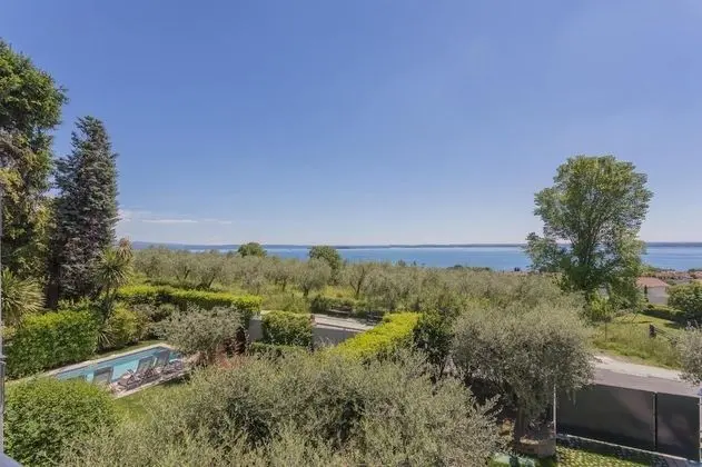 Oda, 1 Yatak Odası, Teras