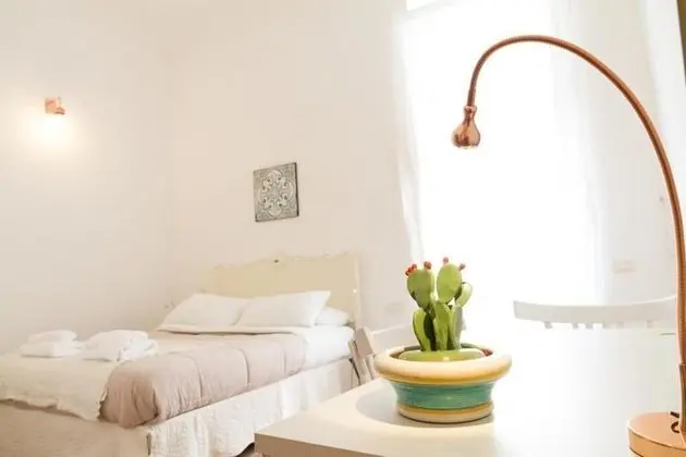 Superior Tek Büyük Yataklı Oda, Teras, Avlu