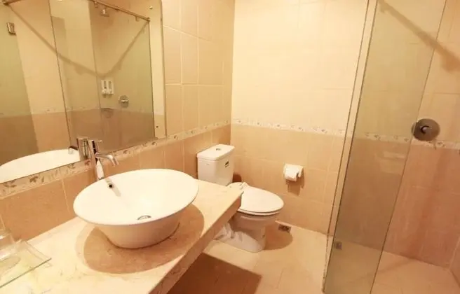 Superior Tek Büyük Yataklı Oda, 1 Çift Kişilik Yatak, Şehir Manzaralı