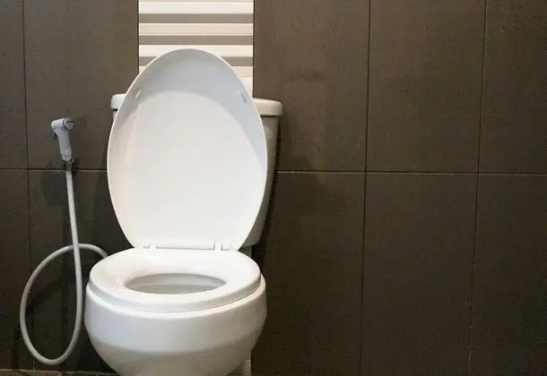 Deluxe Tek Büyük Yataklı Oda, 1 En Büyük (King) Boy Yatak