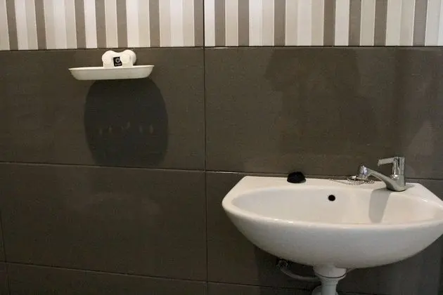 Deluxe Tek Büyük Yataklı Oda, 1 En Büyük (King) Boy Yatak