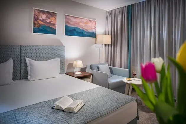 Deluxe Tek Büyük veya İki Ayrı Yataklı Oda