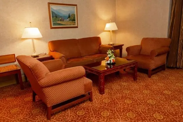 Grand Süit, 1 Tek Kişilik Yatak, Sigara İçilebilir