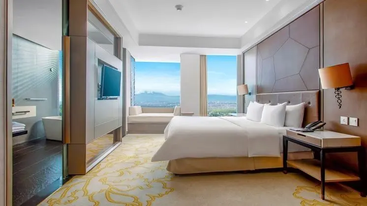 Premium Oda, 1 En Büyük (King) Boy Yatak