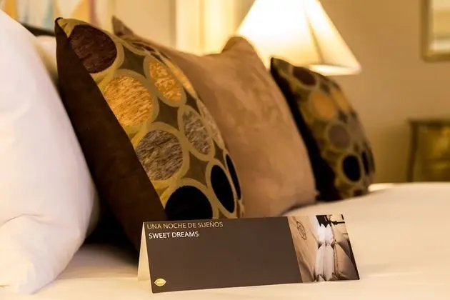 Premium Oda, 1 En Büyük (King) Boy Yatak (Living Area)