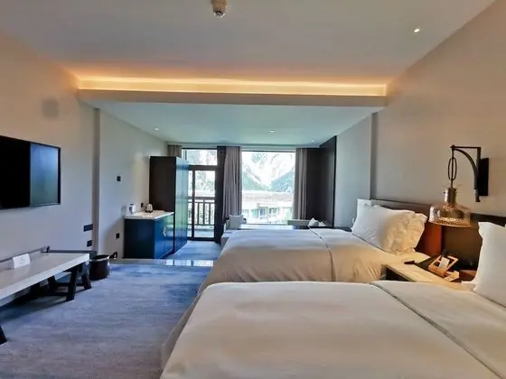 Premium Oda, 2 Tek Kişilik Yatak (Lounge Access)