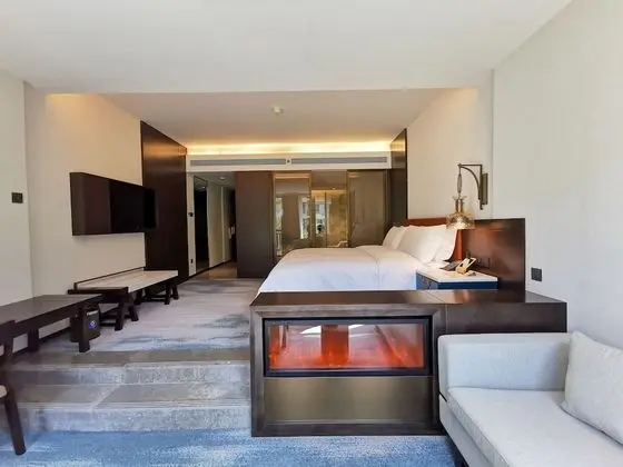 Premium Oda, 2 Tek Kişilik Yatak (Lounge Access)