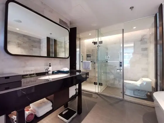 Premium Oda, 2 Tek Kişilik Yatak (Lounge Access)