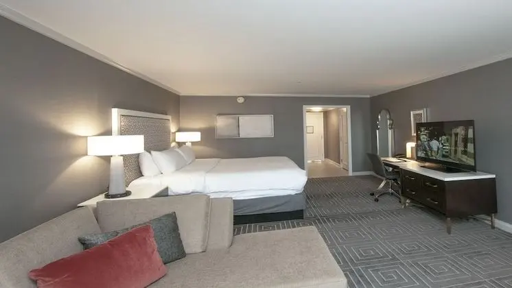 Premium Oda, 1 En Büyük (King) Boy Yatak ve Çekyat, Balkon, Manzaralı (Plaza View)
