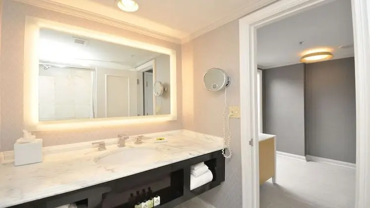 Standard Oda, 2 Çift Kişilik Yatak, Business Dinlenme Salonu Kullanımı, Manzaralı (Plaza View)