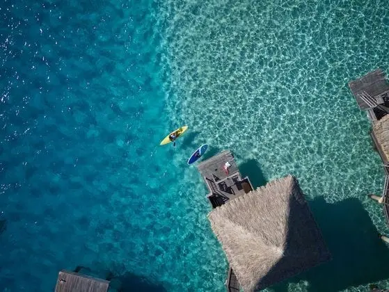Bungalov, 1 En Büyük (King) Boy Yatak, Lagün Manzaralı, Deniz Üstü (Horizon)