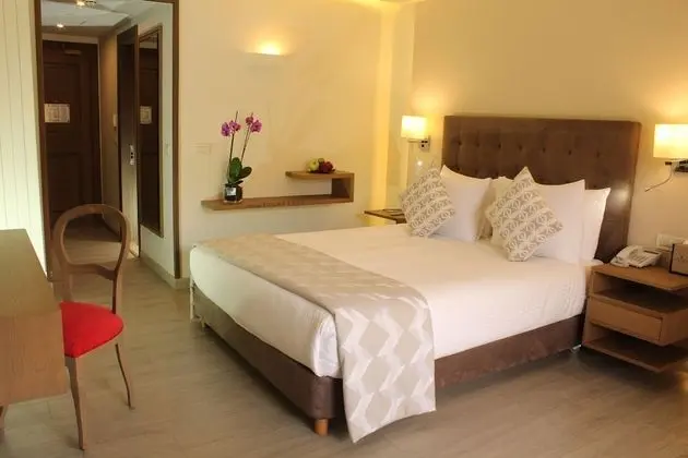 Premium Oda, 1 Büyük (Queen) Boy Yatak (Slopes View)