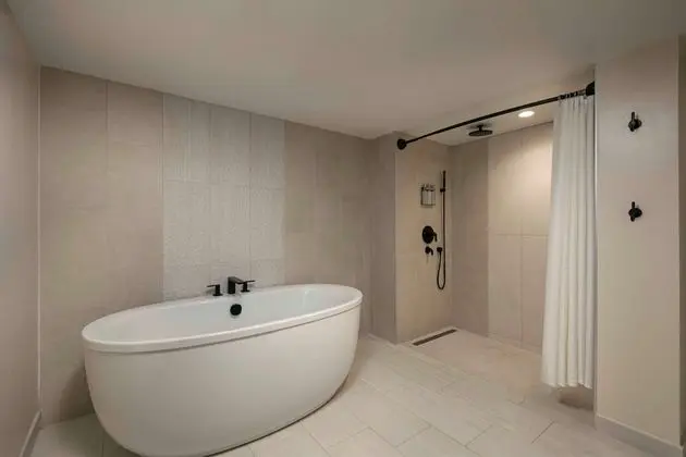 Oda, 1 En Büyük (King) Boy Yatak, Şehir Manzaralı (Mobility, Roll-In Shower)