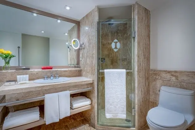 Classic Oda, 1 En Büyük (King) Boy Yatak, Business Dinlenme Salonu Kullanımı (Balcony)