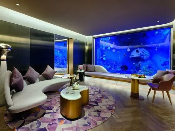 Süit, 1 En Büyük (King) Boy Yatak (Underwater View)