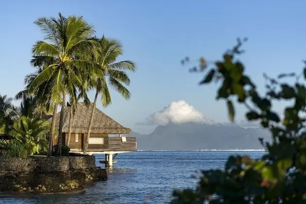 Süit, 1 En Büyük (King) Boy Yatak, Deniz Üstü (Motu, Overwater Bungalow)