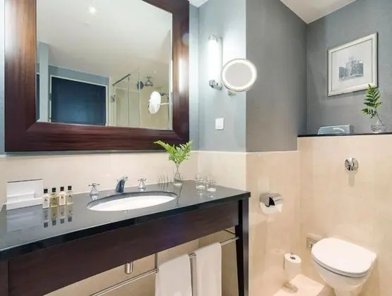 Classic Oda, 1 En Büyük (King) Boy Yatak (High Floor, Lounge Access)