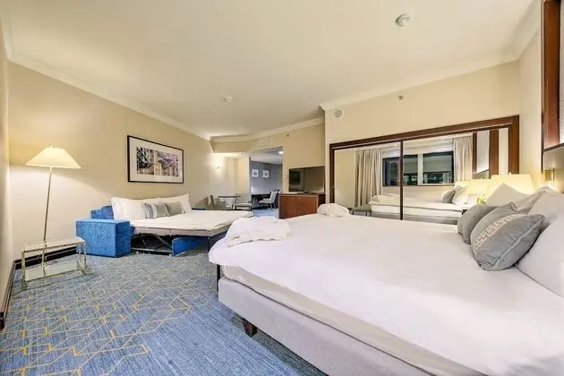 Junior Süit, 1 En Büyük (King) Boy Yatak (Low Floor)