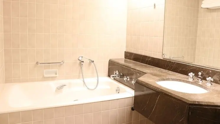 Premium Oda, 2 Tek Kişilik Yatak, Şehir Manzaralı (High Floor Walk-In Shower)