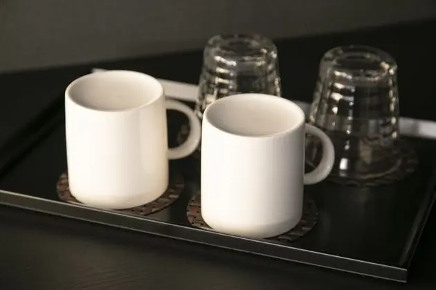 Standard Tek Büyük Yataklı Oda, Sigara İçilmez (18 square meters)